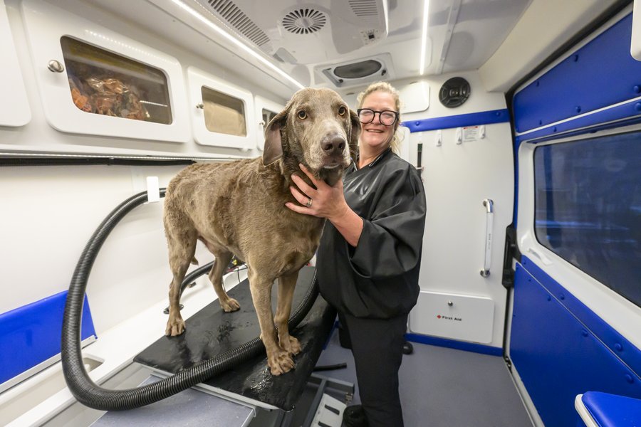 Jill Fischer grooming a dog in the mobile van
